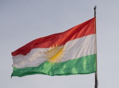 an image of a little girl holding a Kurdish flag
